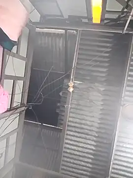 maisamim2 online show from 03.21.26