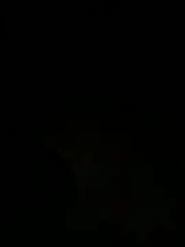 tyd247 online show from 03.28.26