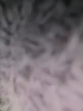 Snapshot of Puka2001 chatting on 03.02.26 Puka2001 online show from 03.02.26