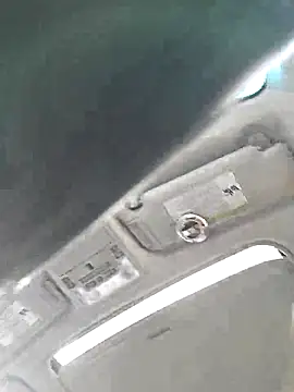 Sunflower0025 online show from 01.31.26