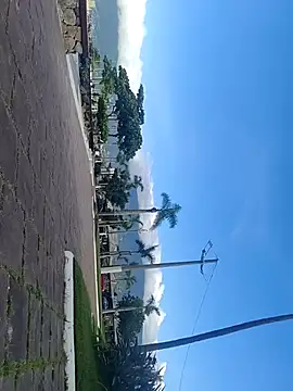 Gustavo52367 online show from 02.20.26