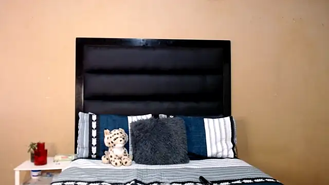 Snapshot of AppleAsss chatting on 02.21.26 AppleAsss online show from 02.21.26