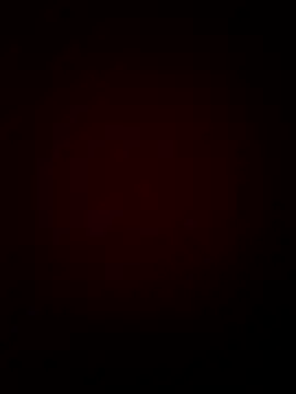 CattingSample online show from 04.15.26