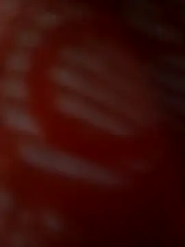 ROMASARKAR online show from 03.21.26