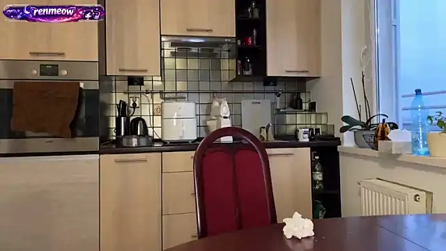 Snapshot of RenMeow chatting on 02.17.26 RenMeow online show from 02.17.26