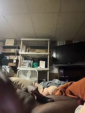 ProveYourLoyalty2 online show from 03.19.26