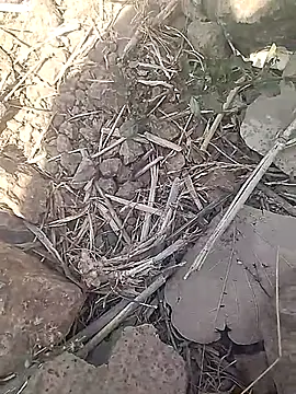 Snapshot of Cute_Boy_4 chatting on 02.18.26 Cute Boy 4 online show from 02.18.26