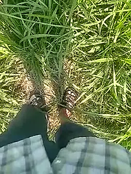 Snapshot of Cute_Boy_4 chatting on 02.22.26 Cute Boy 4 online show from 02.22.26