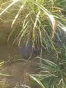 Snapshot of Cute_Boy_4 chatting on 02.27.26 Cute Boy 4 online show from 02.27.26