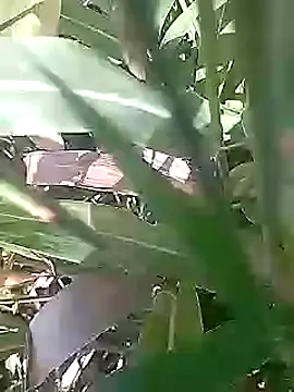 Snapshot of Cute_Boy_4 chatting on 03.01.26 Cute Boy 4 online show from 03.01.26