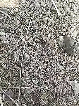 Cute Boy 4 online show from 03.18.26