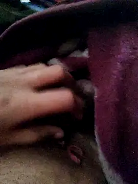 crazyxy12 online show from 02.12.26