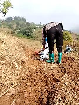 Tina-beo online show from 03.24.26