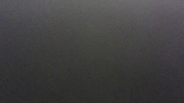 lorraine2036 online show from 02.20.26