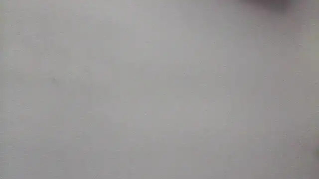 lorraine2036 online show from 04.14.26