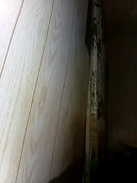 Prikev38452 online show from 02.12.26