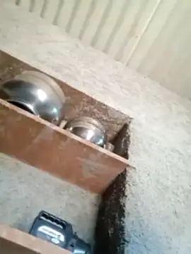 Lucky couple-1 online show from 02.14.26