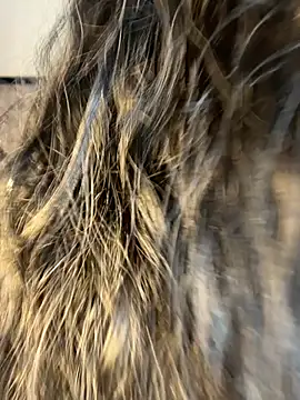 Denise wolfe21 online show from 02.19.26