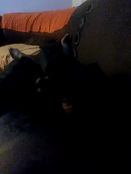 sbudalho online show from 02.05.26