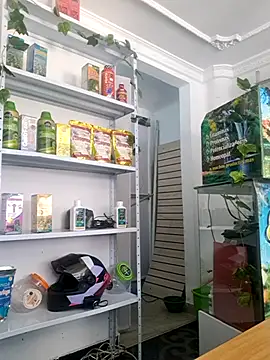 Tatianna Loove  online show from 03.14.26