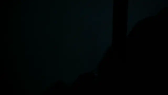 SussyFox online show from 03.08.26