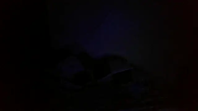 bialoba7 online show from 10.01.25