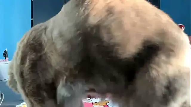 Snapshot of AndreeMerryman chatting on 02.05.26 AndreeMerryman online show from 02.05.26