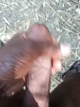 kalai 32 online show from 02.17.26