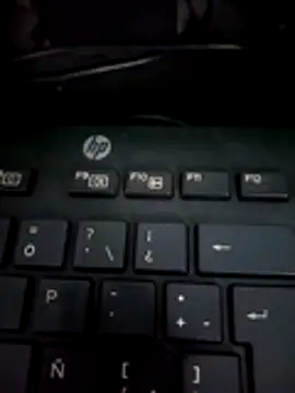 Snapshot of dallm5 chatting on 02.02.26 dallm5 online show from 02.02.26