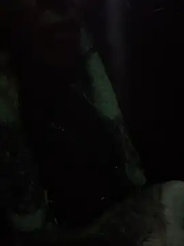 notyourtypicalAnna online show from 02.16.26