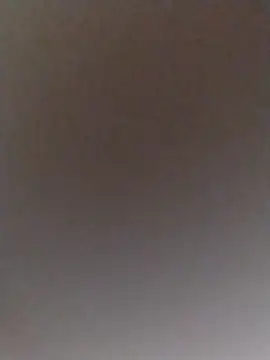 conejitalia online show from 03.07.26