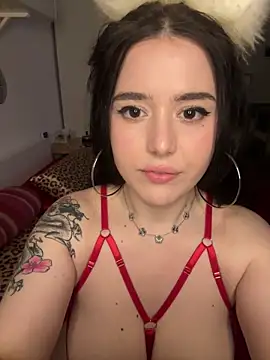 Venustrapp online show from 02.14.26