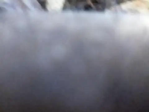 Joecool1009 online show from 02.03.26