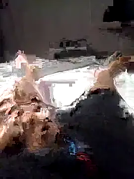 Al-Hari online show from 02.04.26