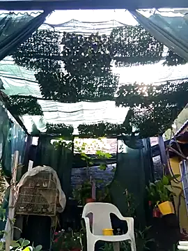 Snapshot of gordorichard chatting on 02.21.26 gordorichard online show from 02.21.26