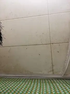 Miu Xinh online show from 04.07.26