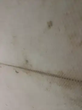 Miu Xinh online show from 04.11.26