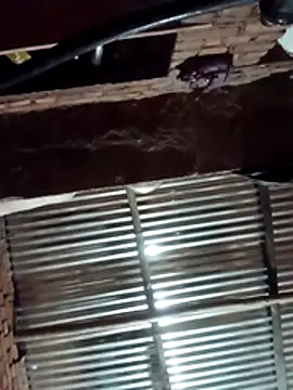 Hot ree64 online show from 03.27.26