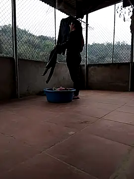 LiilyZi online show from 03.05.26