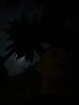 Gael Velaryx online show from 04.02.26