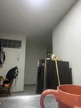 venezolana  caro online show from 02.20.26