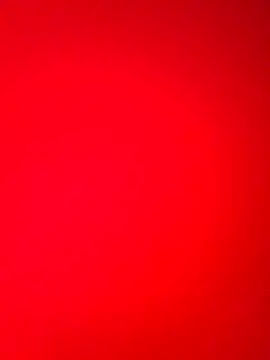 Snapshot of DocCock021 chatting on 02.18.26 DocCock021 online show from 02.18.26