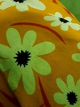 Snapshot of Ranjet01 chatting on 02.13.26 Ranjet01 online show from 02.13.26