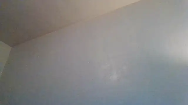 Snapshot of Tallhungandcloudy chatting on 02.19.26 Tallhungandcloudy online show from 02.19.26