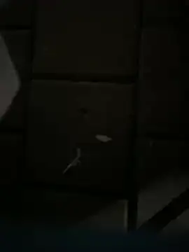 Snapshot of Darkhotcouple chatting on 02.14.26 Darkhotcouple online show from 02.14.26