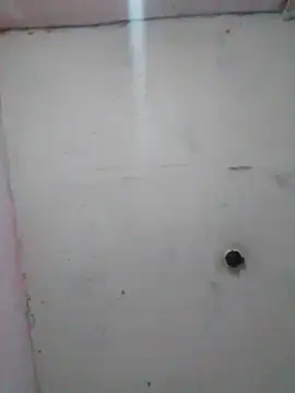 cobrosdepagos online show from 02.19.26