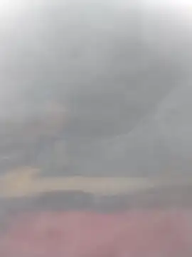 cobrosdepagos online show from 03.14.26