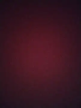 Snapshot of Regina_23 chatting on 02.20.26 Regina 23 online show from 02.20.26