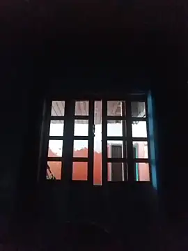 vinicius ribas online show from 02.15.26