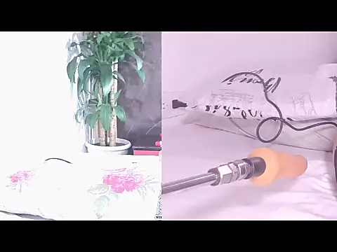 Carol Swet online show from 04.17.26